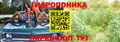 соль ск Гусь-Хрустальный