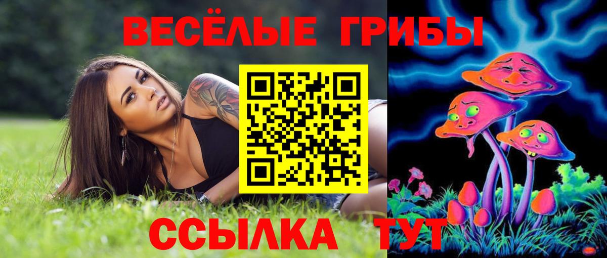 Псилоцибиновые грибы Magic Shrooms Муравленко
