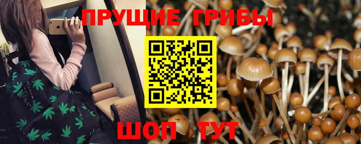 Галлюциногенные грибы Magic Shrooms  где купить наркоту  Галлюциногенные грибы ЛСД  Муравленко  Вход с VPN 
